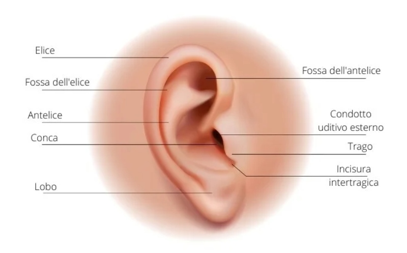 orecchio-microtia-ricostruzione-padiglione Padiglione auricolare nella microtia - Casa di Cura Piacenza